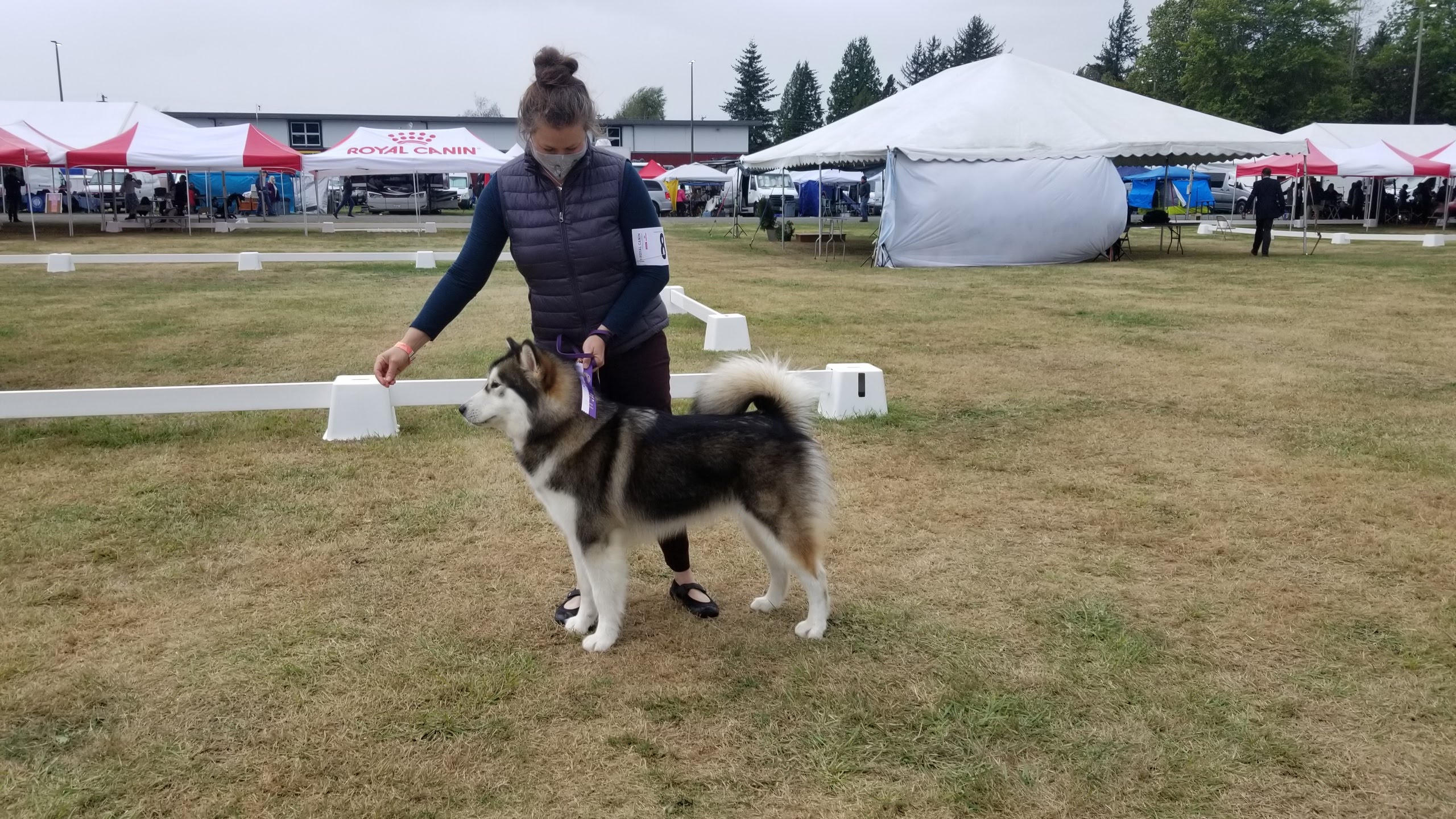 Posing at a dog show, 10 months
